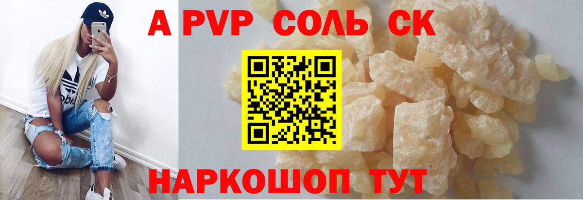 Альфа ПВП СК КРИС Курчалой