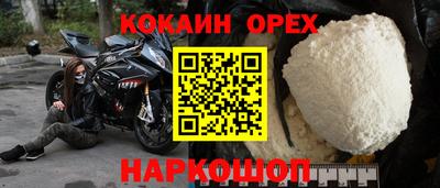 гидра Кандалакша