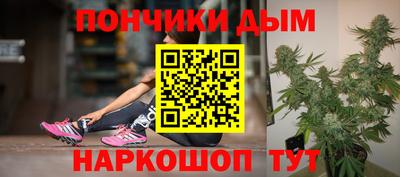 гидра Кандалакша