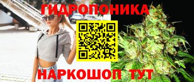 гидра Кандалакша