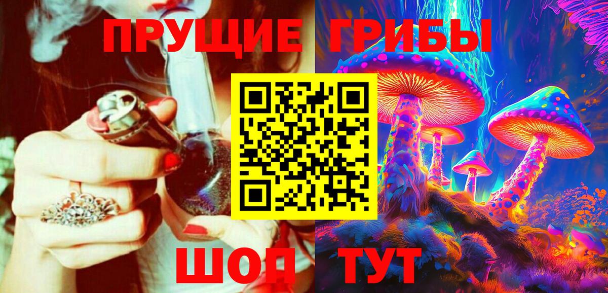 Псилоцибиновые грибы Magic Shrooms  Псилоцибиновые грибы мицелий  Вход с VPN  Курчалой 